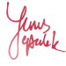 yunus_signature